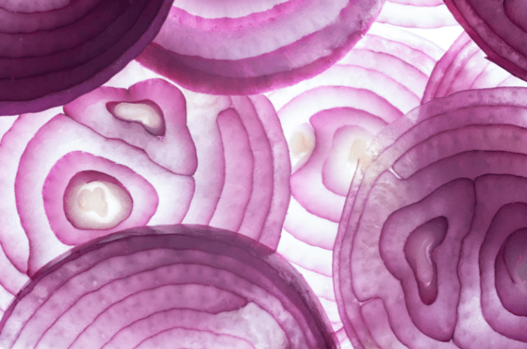 Onions revampearth.com