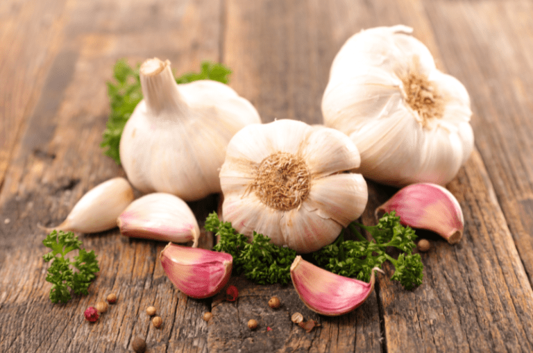 Health benefits of Garlic- Revamp Earth