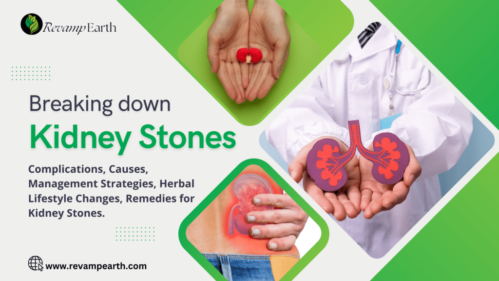 Breaking Down Kidney Stones: Proven Remedies For Relief - Revamp Earth
