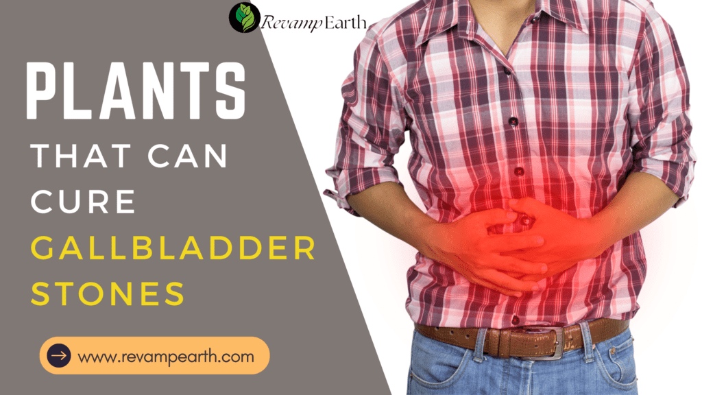 Gallbladder Stones