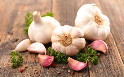 Health benefits of Garlic- Revamp Earth