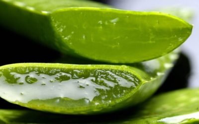 Best Aloe Vera Gel